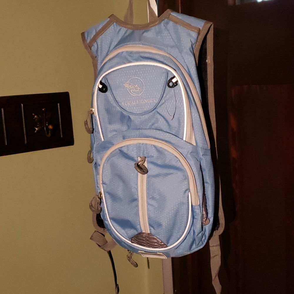 Local Lion Baby Blue Backpack